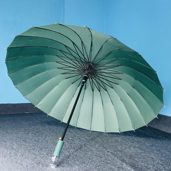 ২৪ শিকের প্রিমিয়াম ছাতা 002 ( Green Color )