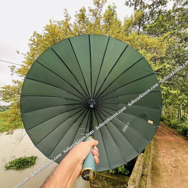(Green) ২৪ শিকের প্রিমিয়াম ছাতা